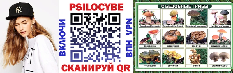 Псилоцибиновые грибы мицелий  Ефремов 