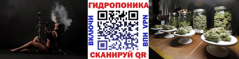 гидра ТОР  купить закладку  Ефремов  Каннабис семена 